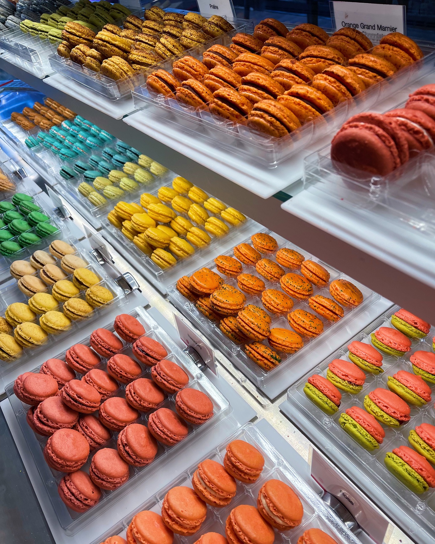 426187157_18068972383474843_347300771844725901_n